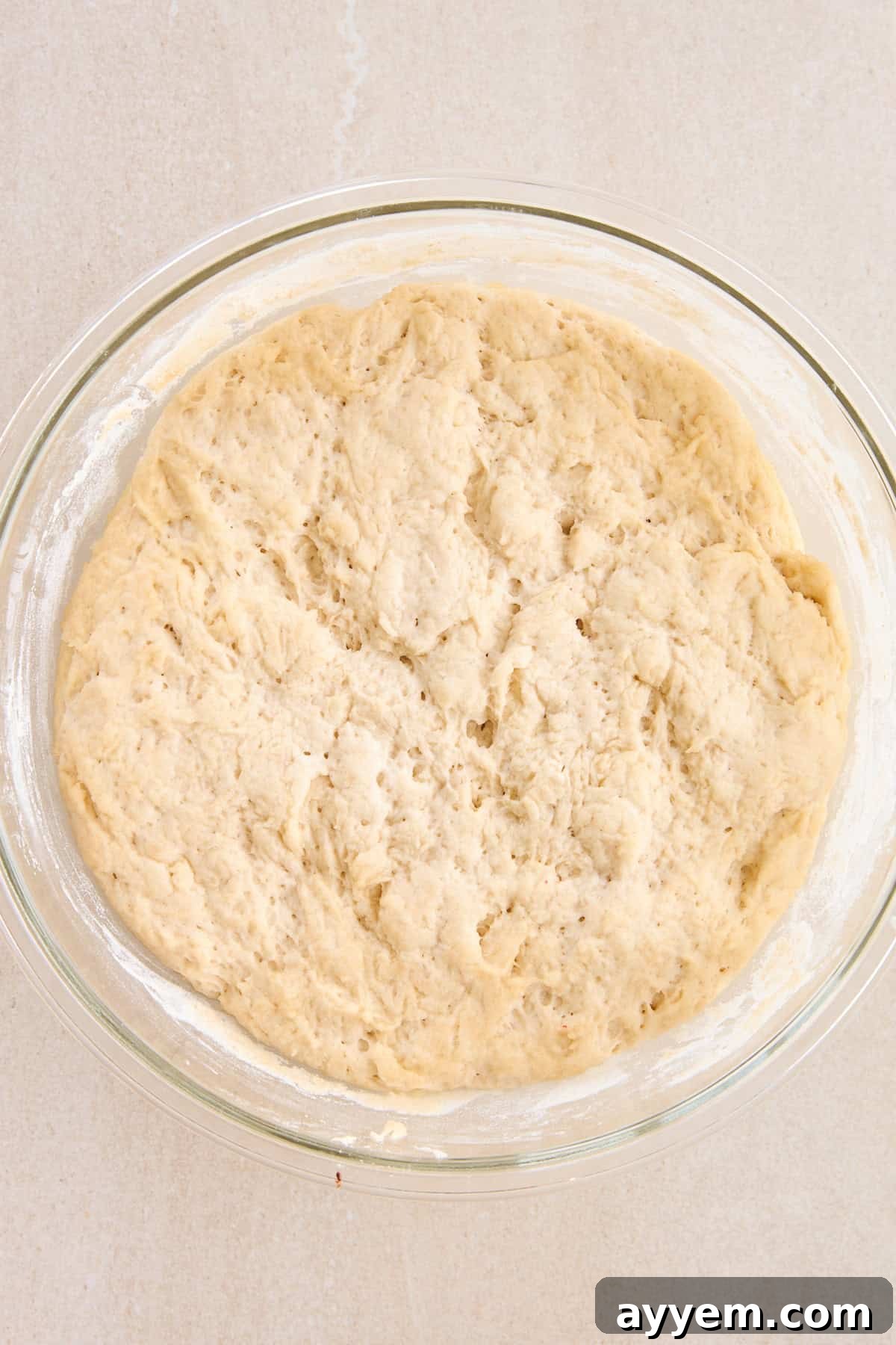 Soft, sticky focaccia dough in a mixing bowl, lightly oiled and ready for its first rise.