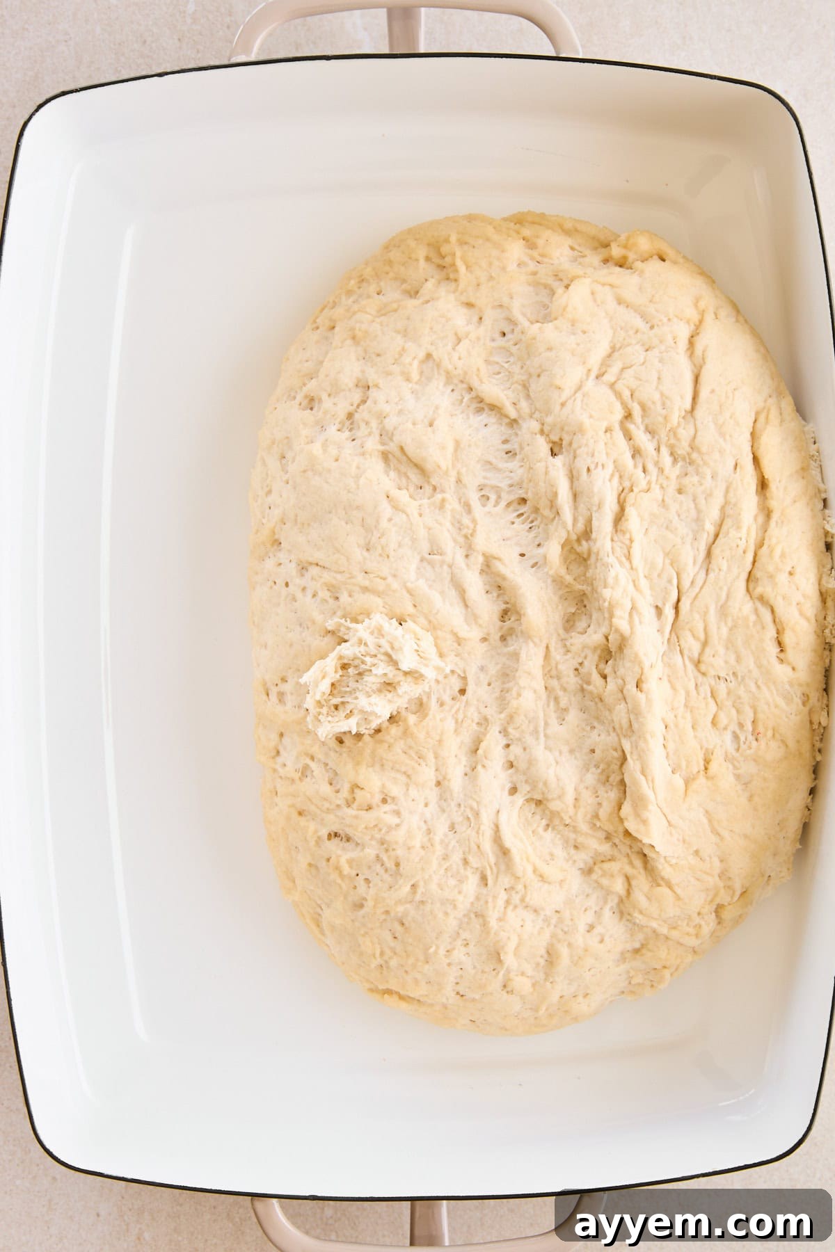 Focaccia dough gently spread into a rectangular baking dish, coated in olive oil.