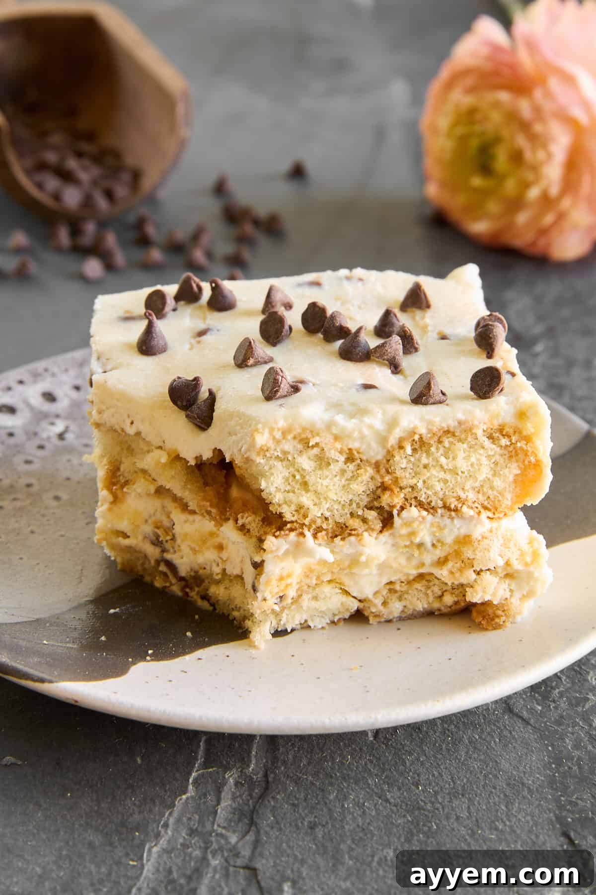 A second view of a Tiramisu Cannoli slice on a plate, with a portion already savored, highlighting its creamy layers and chocolate chip topping.