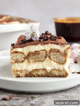 A classic tiramisu slice on a plate, garnished with cocoa.