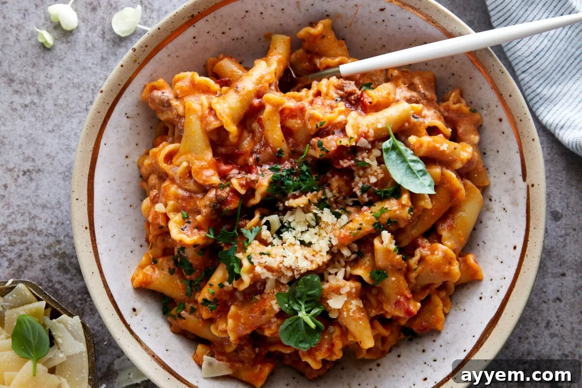 A generous bowl of one-pot lasagna pasta, richly topped with Parmesan cheese and fresh herbs.