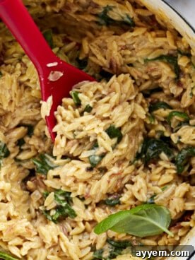 A close-up of creamy Tuscan orzo in a bowl, garnished with fresh basil.