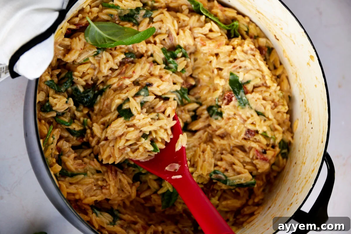 Creamy Tuscan orzo simmering in a deep pot, with a red serving spoon lifting a scoop.