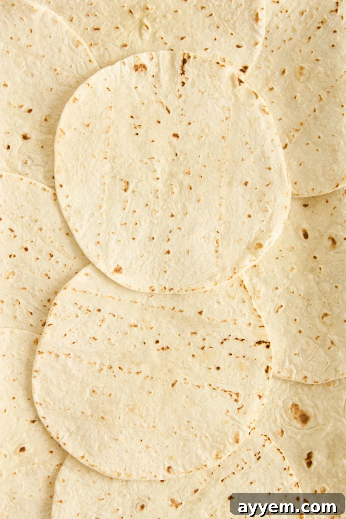 Multiple flour tortillas are laid out overlapping each other, covering the entire surface of a baking sheet. The tortillas have light brown spots and a soft, slightly textured appearance.