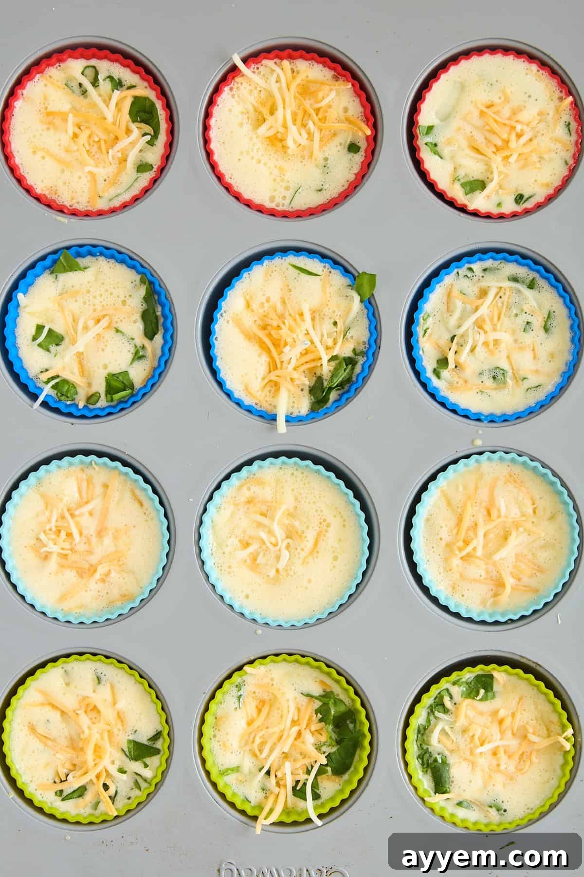 A muffin tin filled with colorful silicone liners holds unbaked egg muffin mixtures topped with shredded cheese and spinach. The mixtures are ready to be baked.