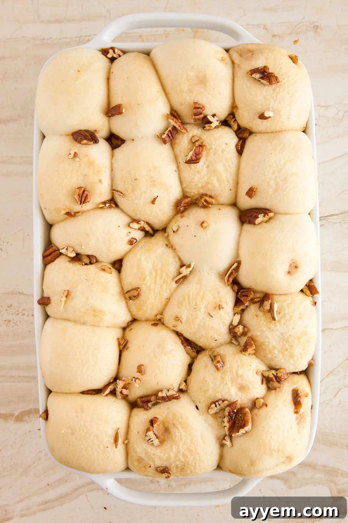 A white baking dish showing neatly arranged unbaked, fluffy dough rolls topped with chopped pecans, before the caramel is added.