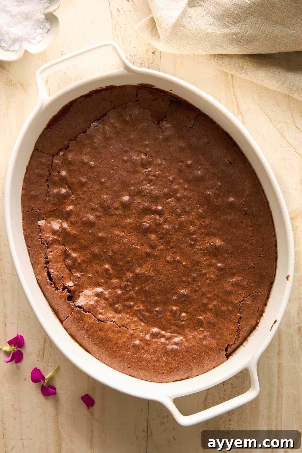An oval white baking dish filled with a freshly baked chocolate cake, with a crackled surface, sits on a light countertop. A few pink flower petals and a bowl of salt are nearby, hinting at a delicate and delicious dessert.