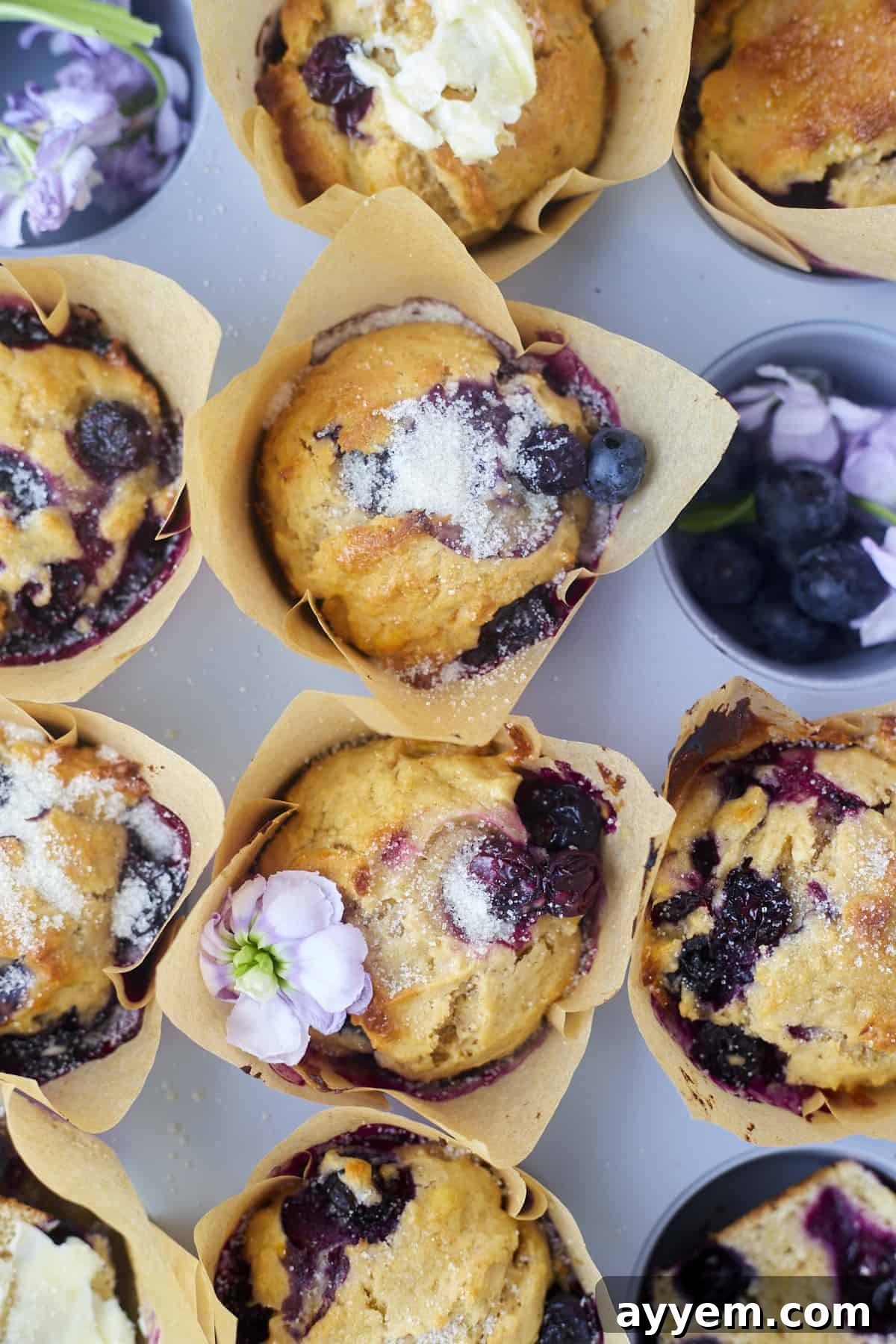 Freshly baked blueberry muffins with a golden-brown top, ready to be enjoyed.