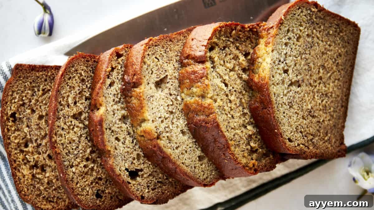 A freshly baked loaf of Blender Banana Bread, indicating a well-risen and tender crumb.