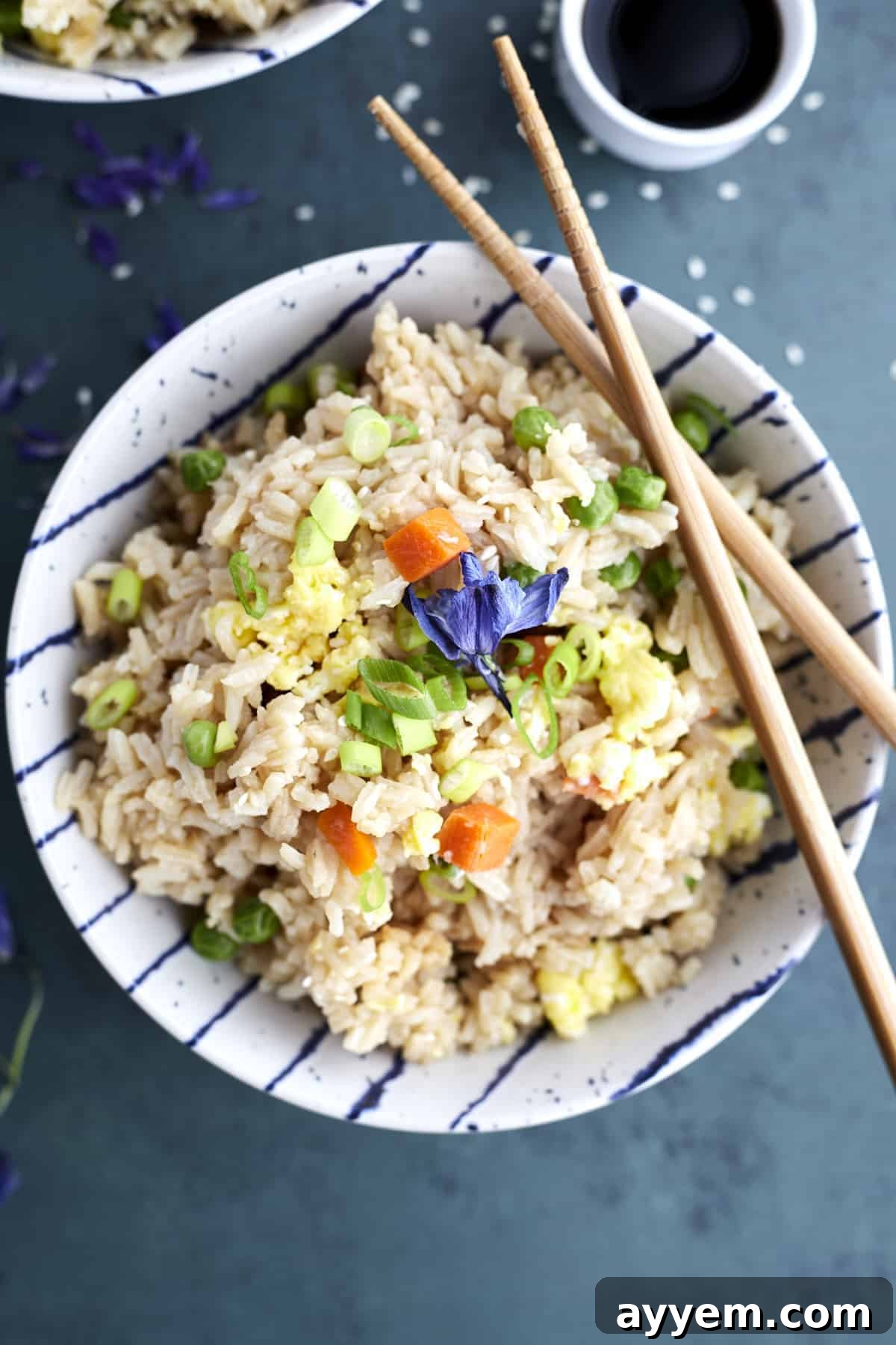 Fried-Rice2011