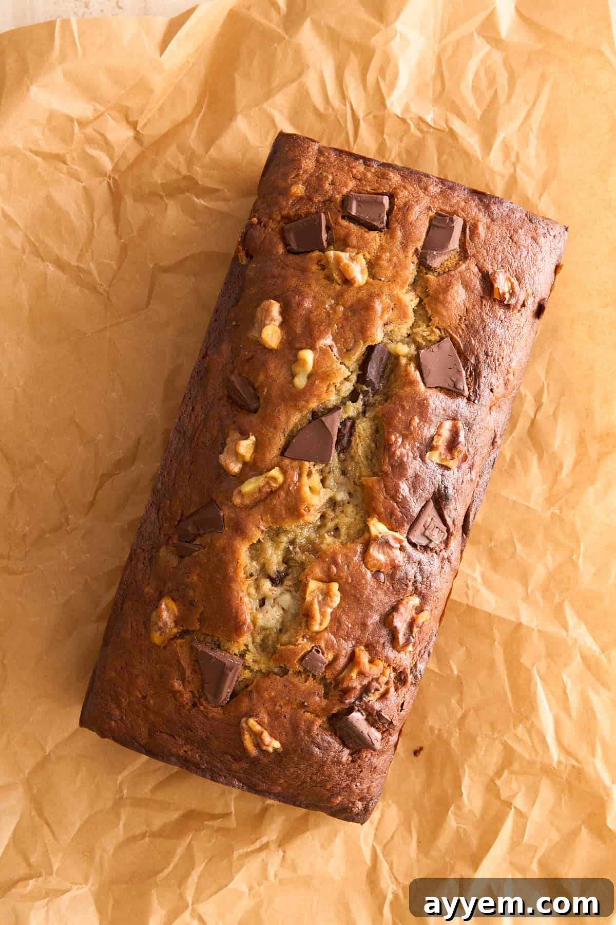 Banana bread loaf topped with banana slices